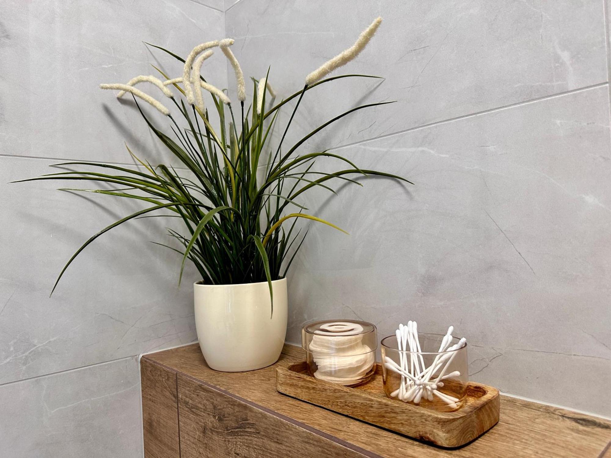 Apartment Vidok Mloszowa